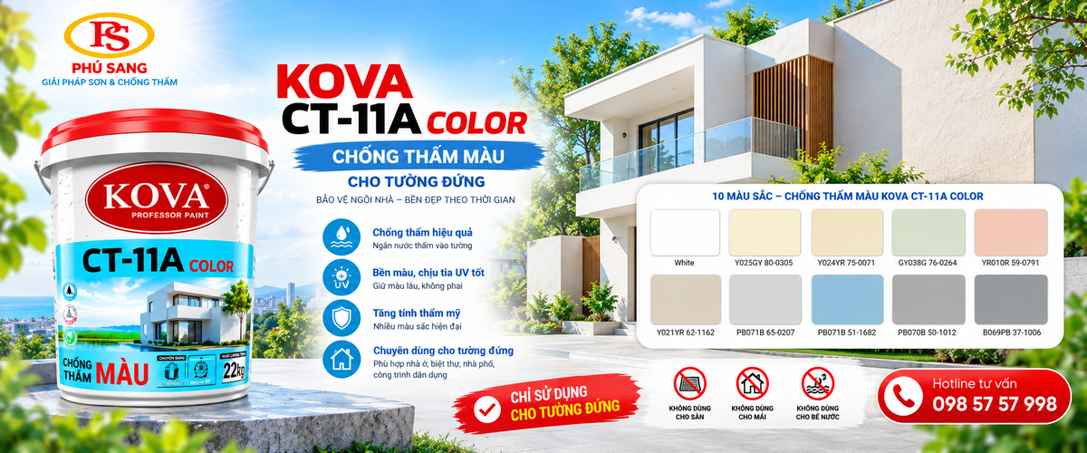 banner_ct11a_color_1200x500